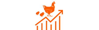 Poultry Rates Today In Pakistan