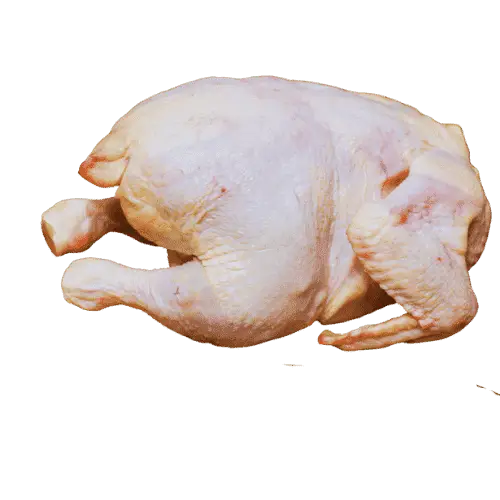 Broiler Chicken Meat Rate Today In Pakistan