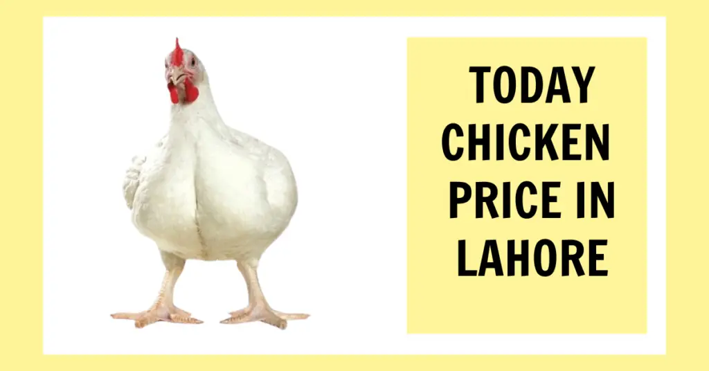 Today Chicken Price In Lahore