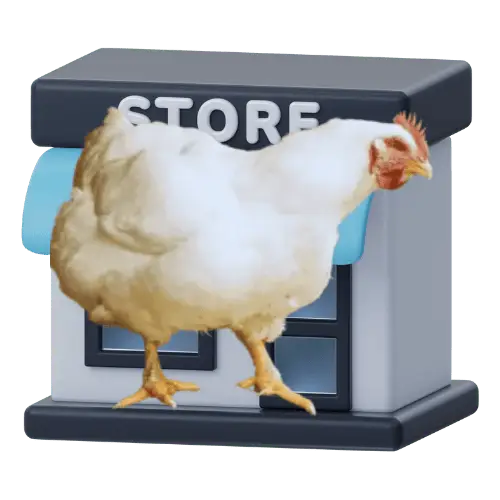 Broiler Alive(Zinda) parchoon chicken rate