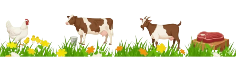 Today Poultry Rate In Pakistan